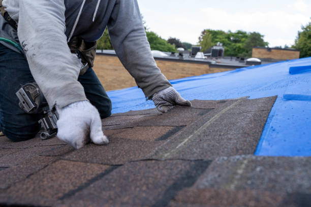 Best Roof Gutter Cleaning  in Peabody, KS