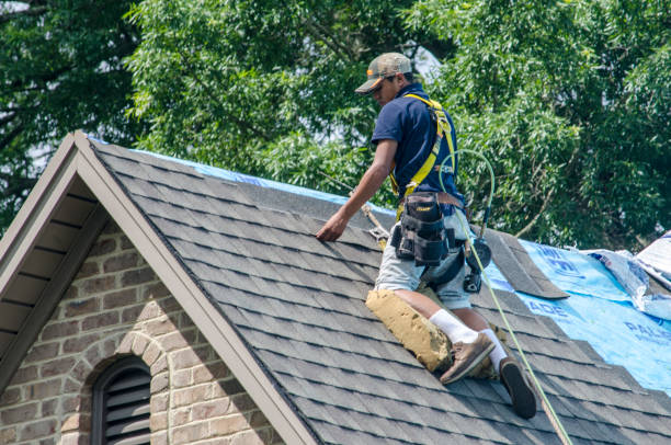 Best Roof Repair Services  in Peabody, KS